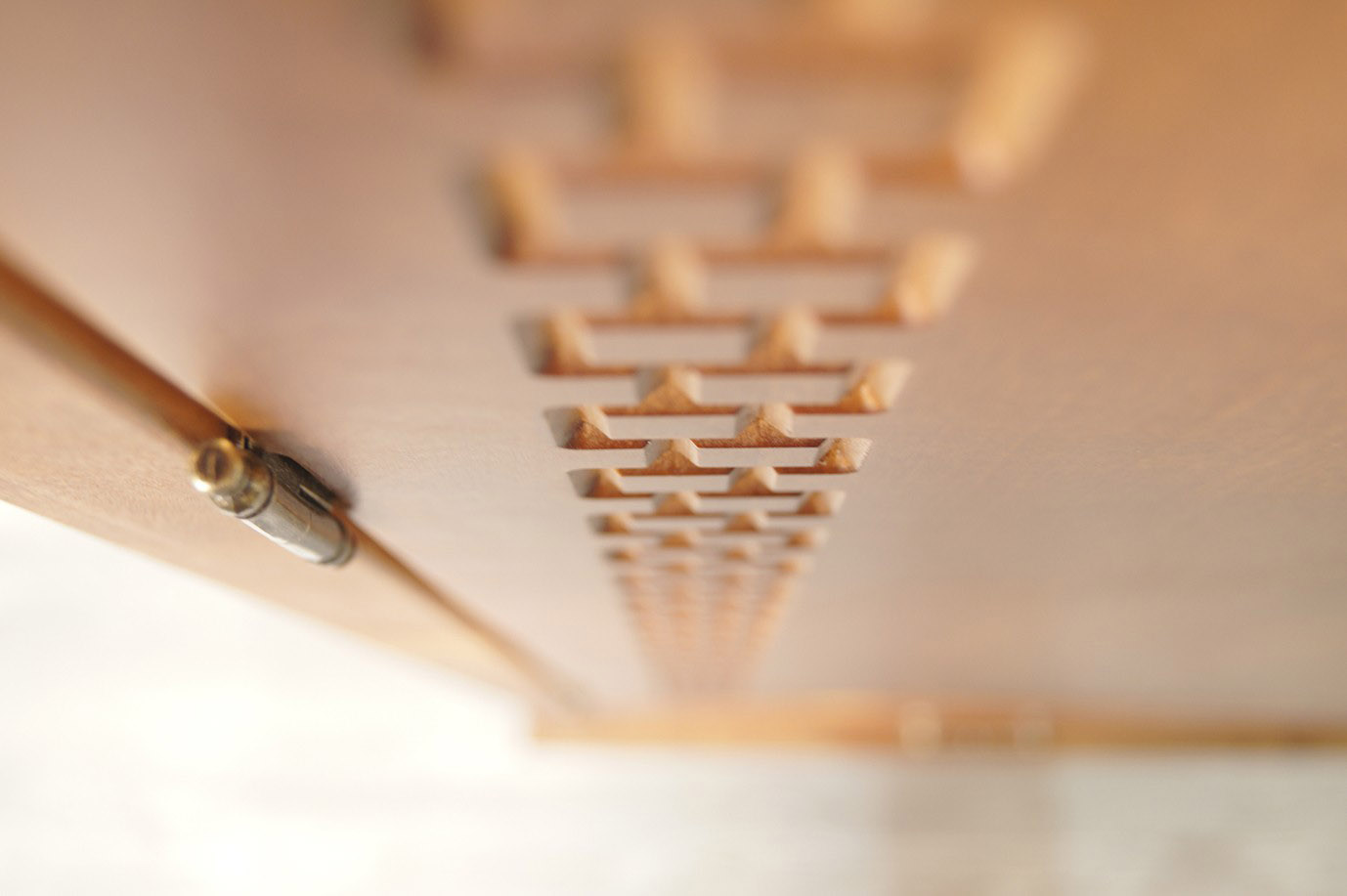 Двустворчатый шкаф с ящиками "Gouache Birch"